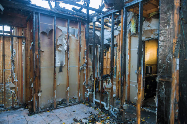 Professional Smoke Damage Removal technician working in Davis Junction, IL